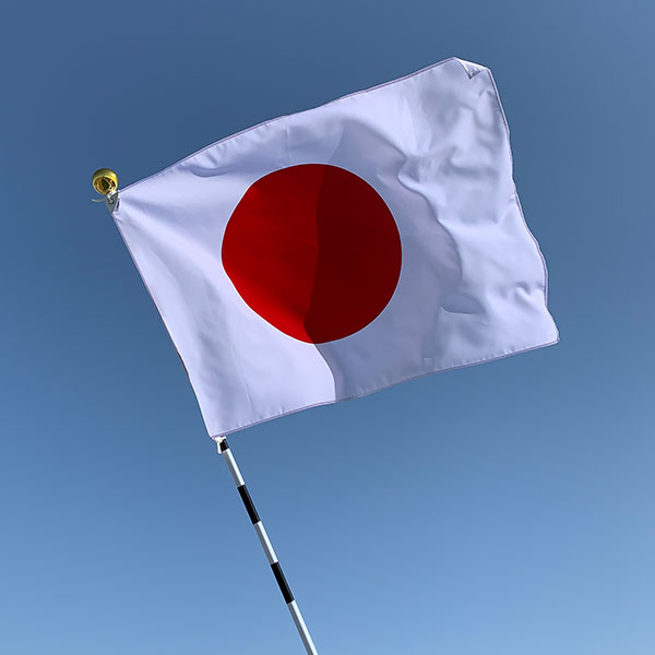 日本国旗 家庭用セット