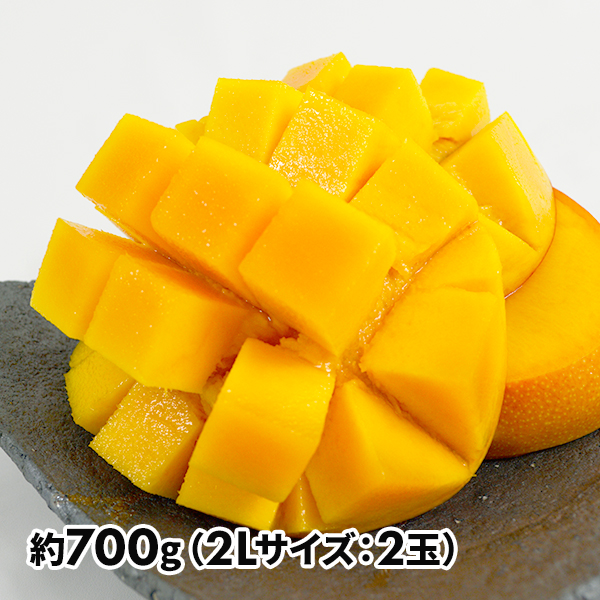 沖縄県産 マンゴー 2Lサイズ×2玉